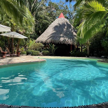 Hotel El Pequeno Gecko Verde Samara Ngoại thất bức ảnh