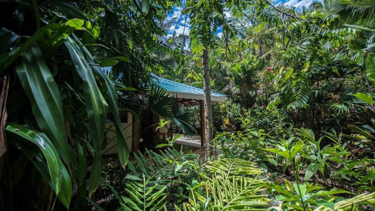 Hotel El Pequeno Gecko Verde Samara Ngoại thất bức ảnh