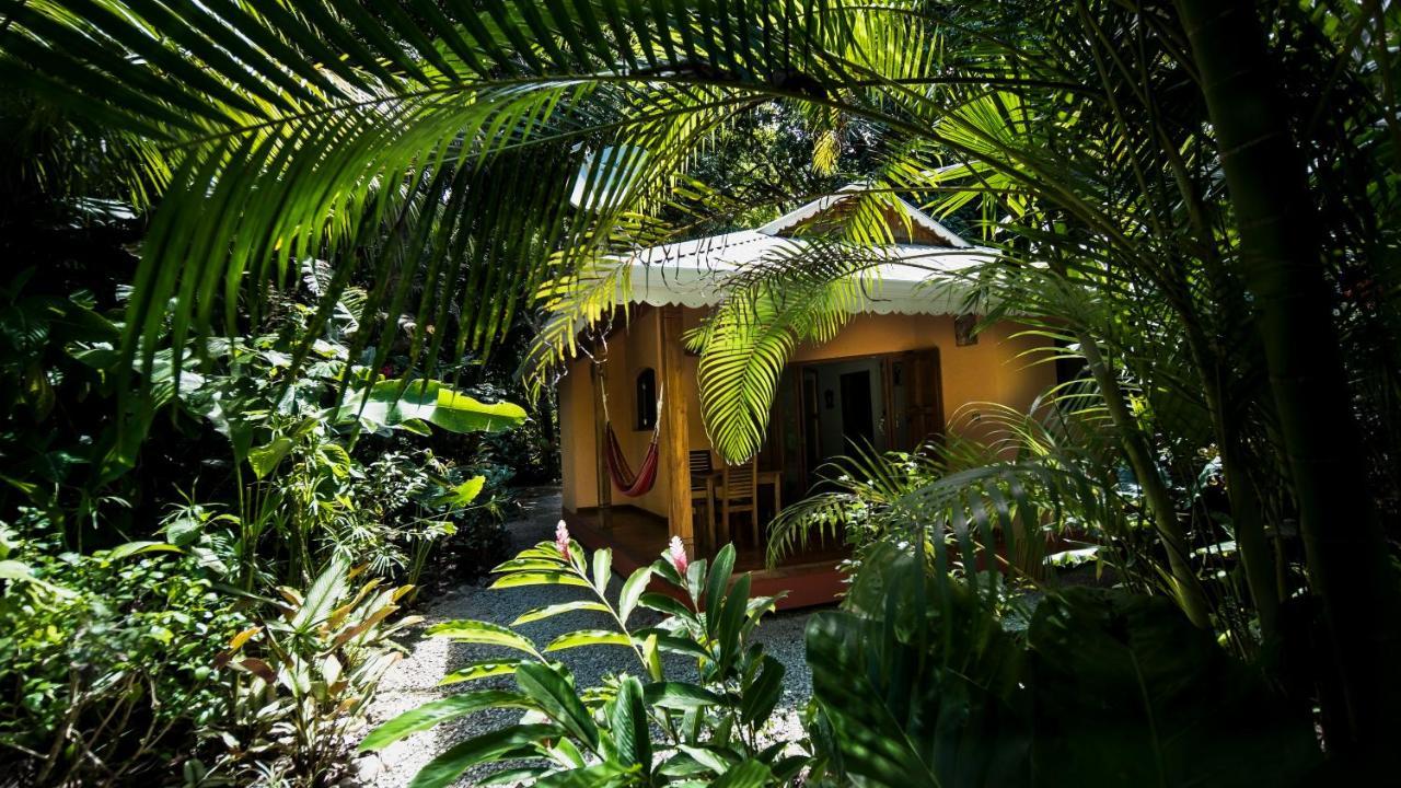 Hotel El Pequeno Gecko Verde Samara Ngoại thất bức ảnh