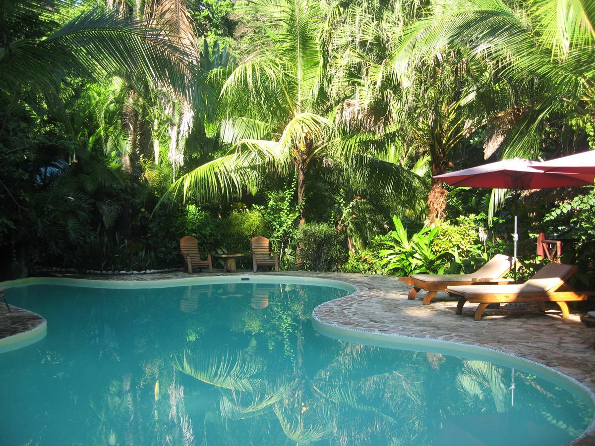 Hotel El Pequeno Gecko Verde Samara Ngoại thất bức ảnh