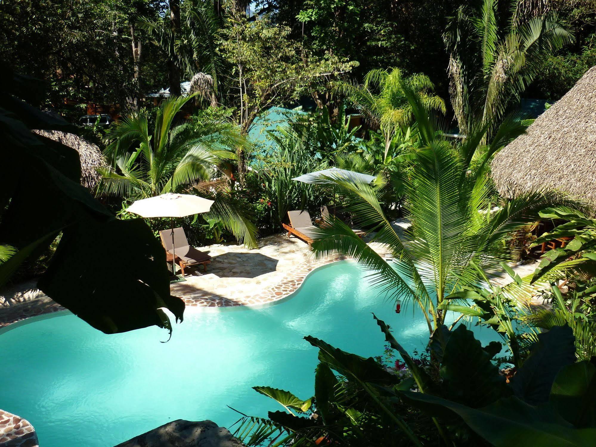 Hotel El Pequeno Gecko Verde Samara Ngoại thất bức ảnh