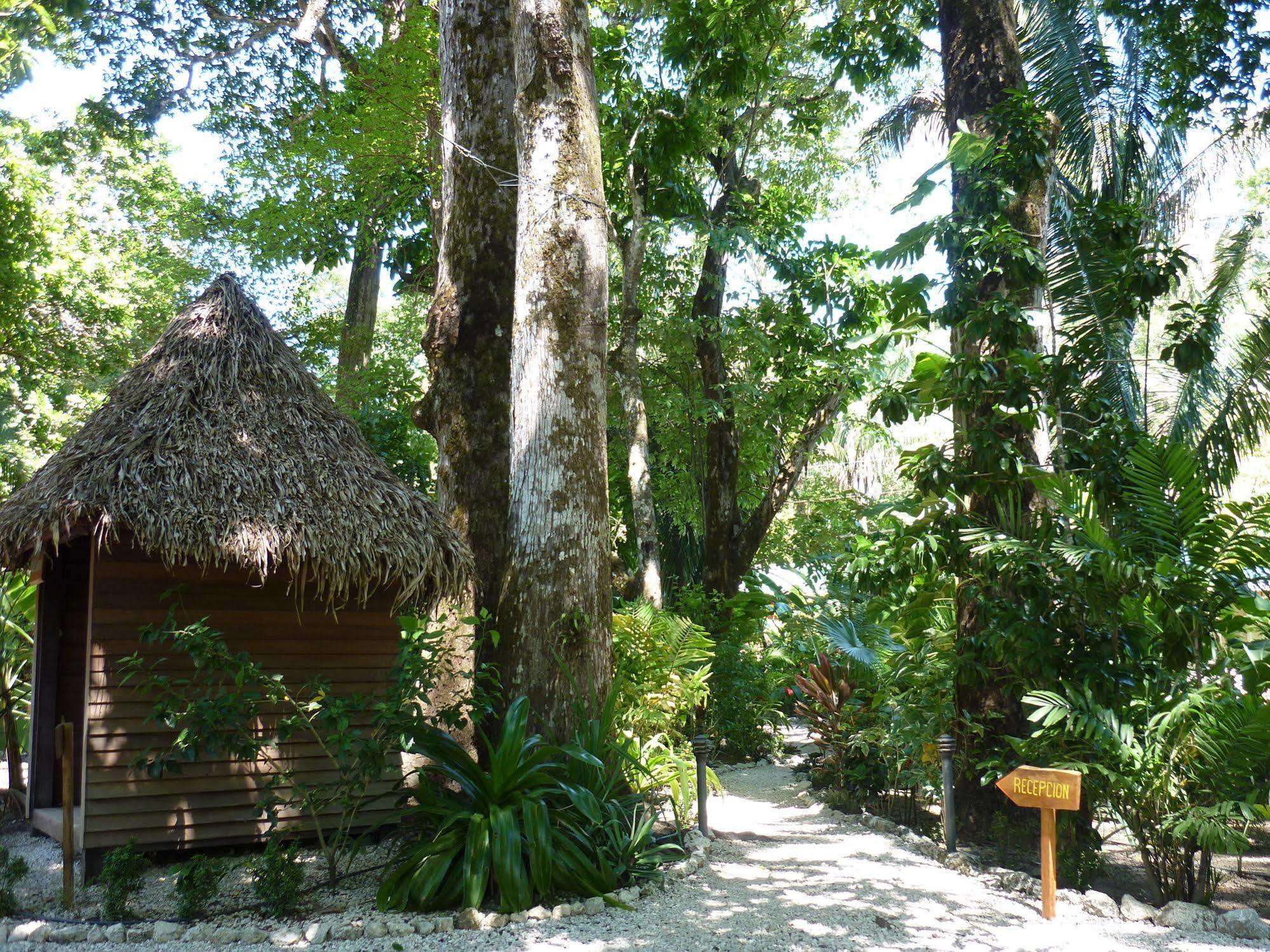 Hotel El Pequeno Gecko Verde Samara Ngoại thất bức ảnh