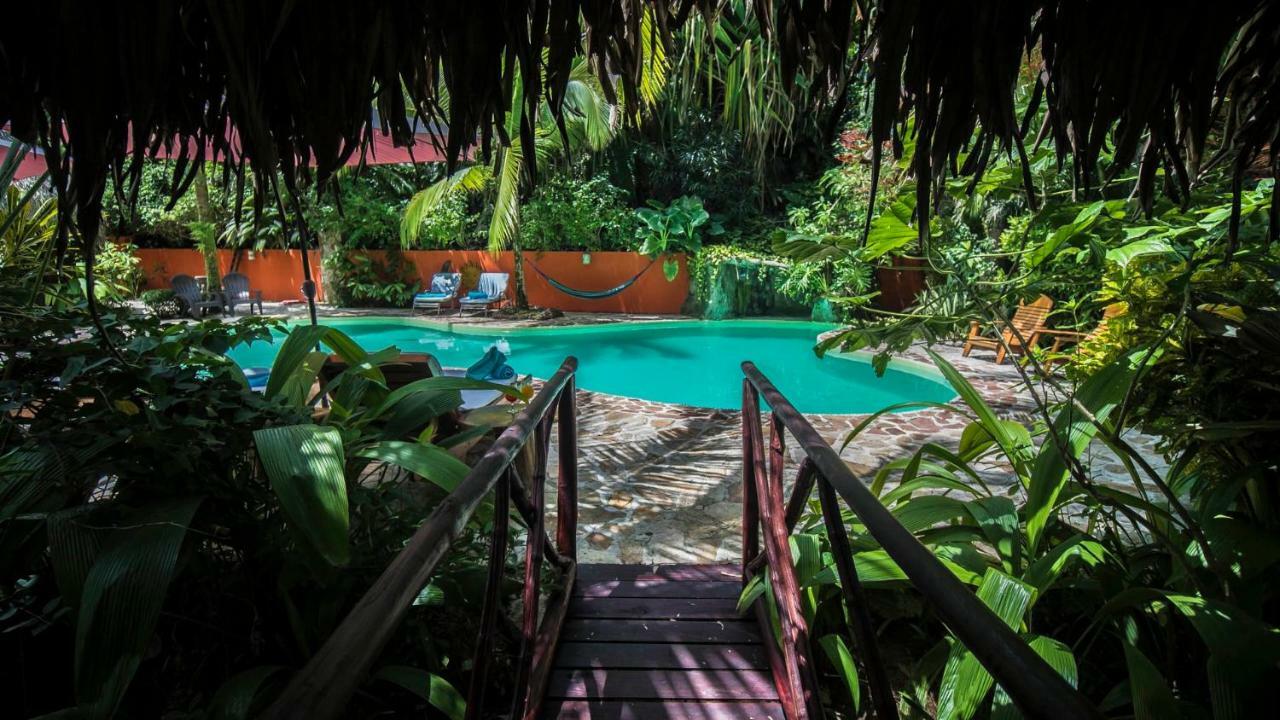 Hotel El Pequeno Gecko Verde Samara Ngoại thất bức ảnh