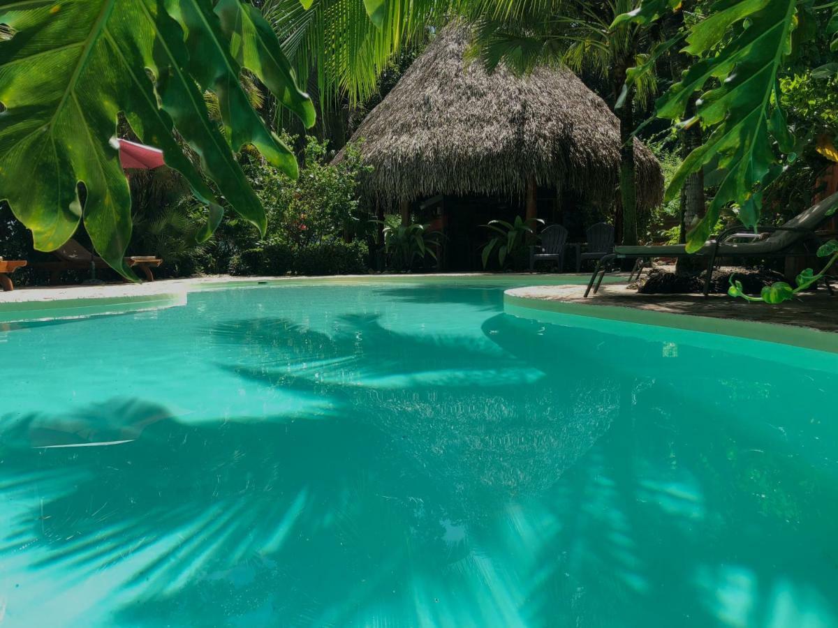 Hotel El Pequeno Gecko Verde Samara Ngoại thất bức ảnh